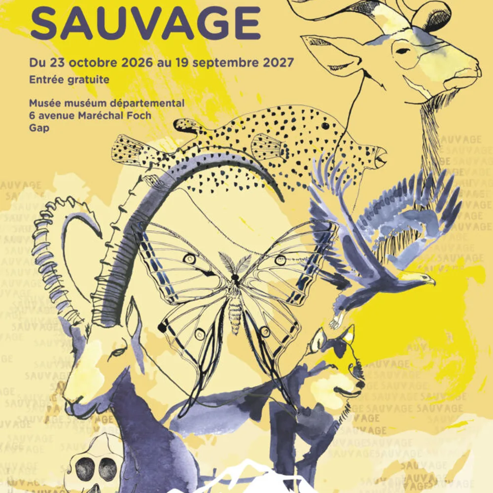 Sauvage