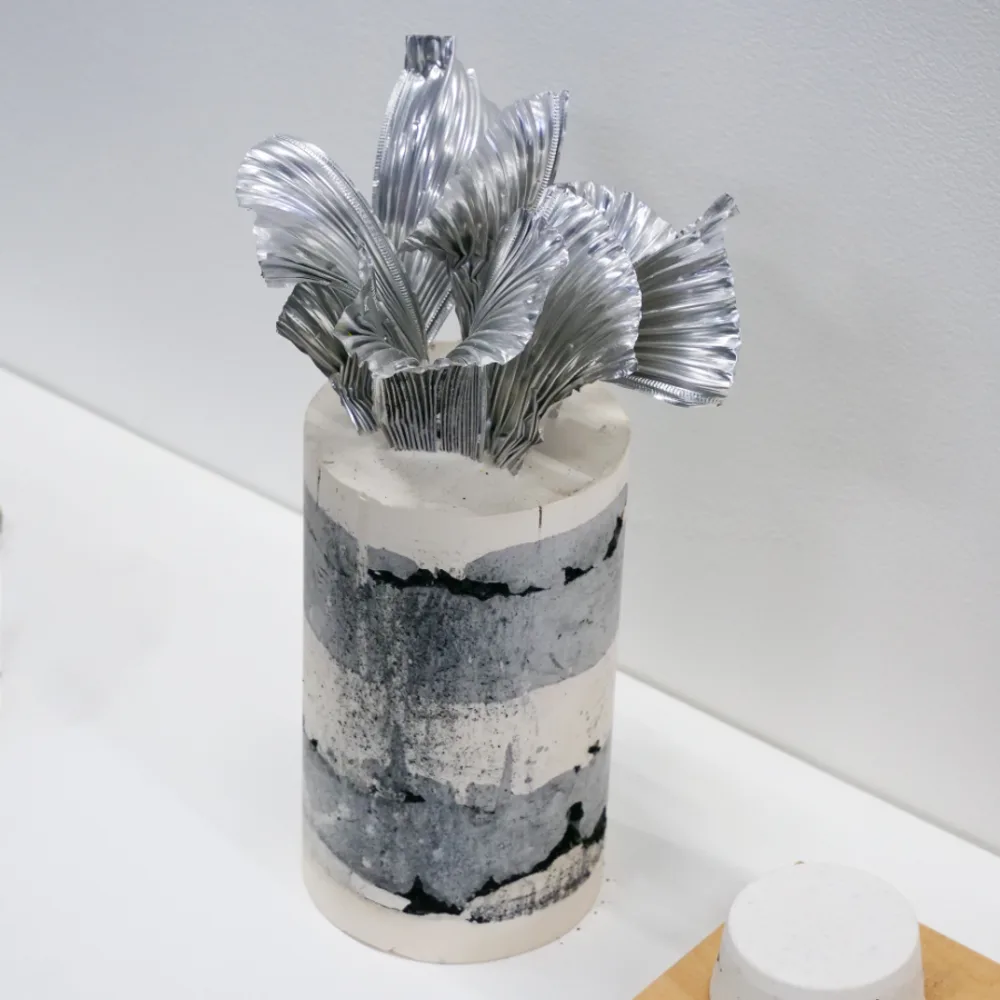 Topographies du vase 2