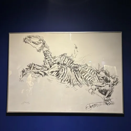 Le bal de la Loba