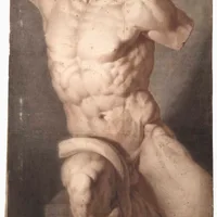 Décortiqués. Leçons d'anatomie dans les collections dijonnaises