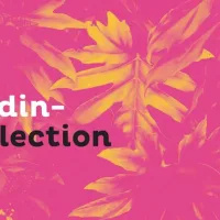 Le jardin-collection