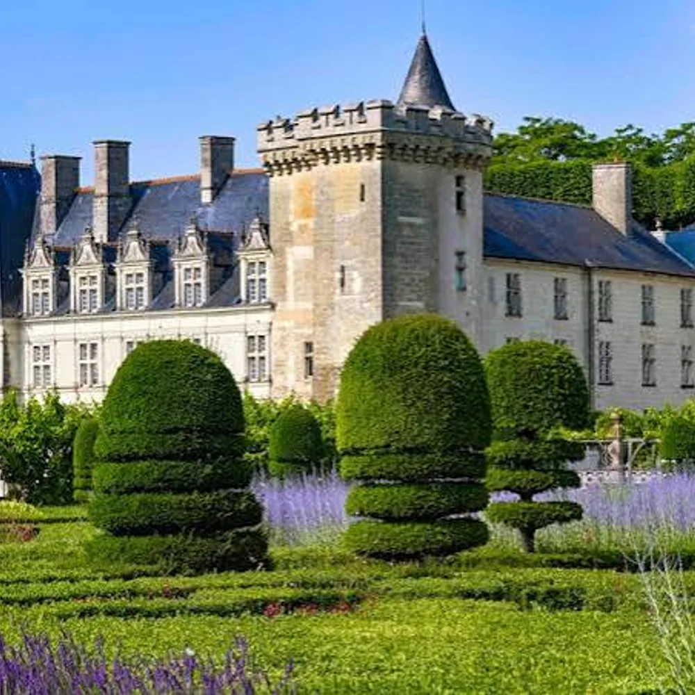 Château de Villandry 3
