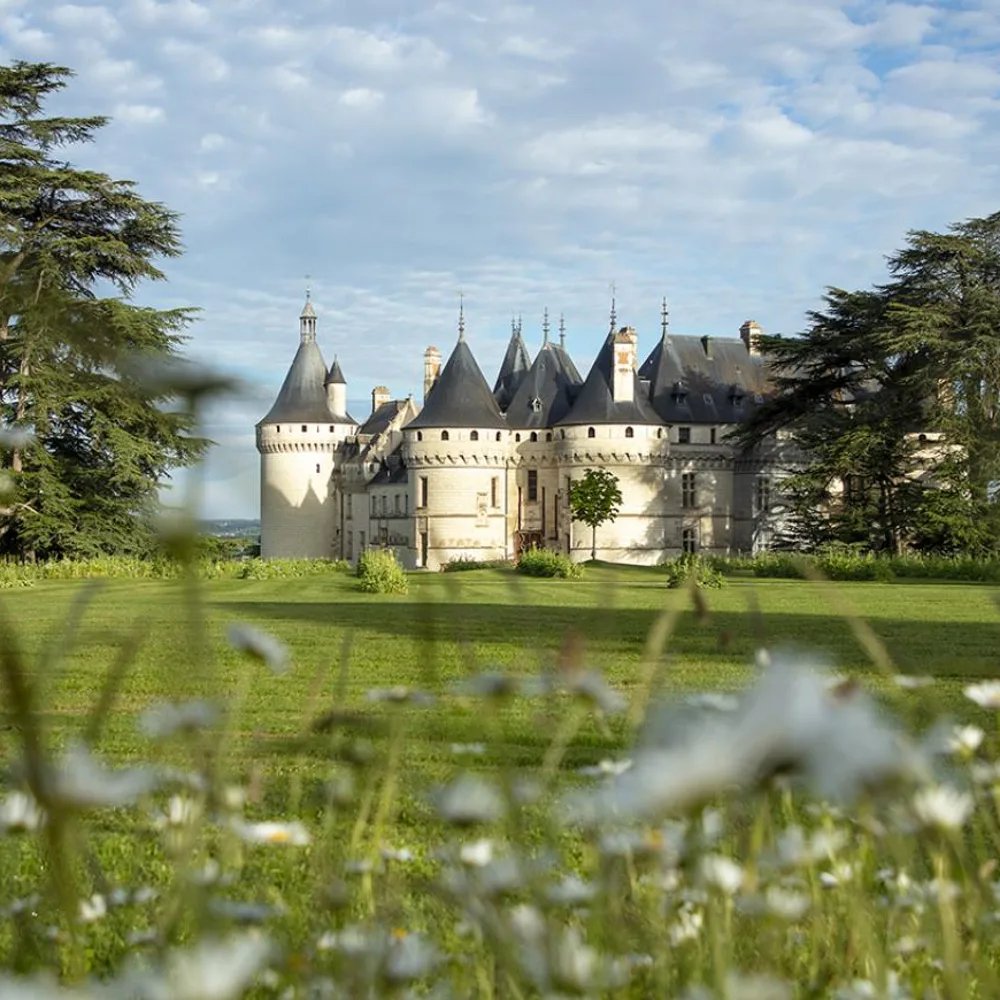 Domaine de Chaumont-sur-Loire 3