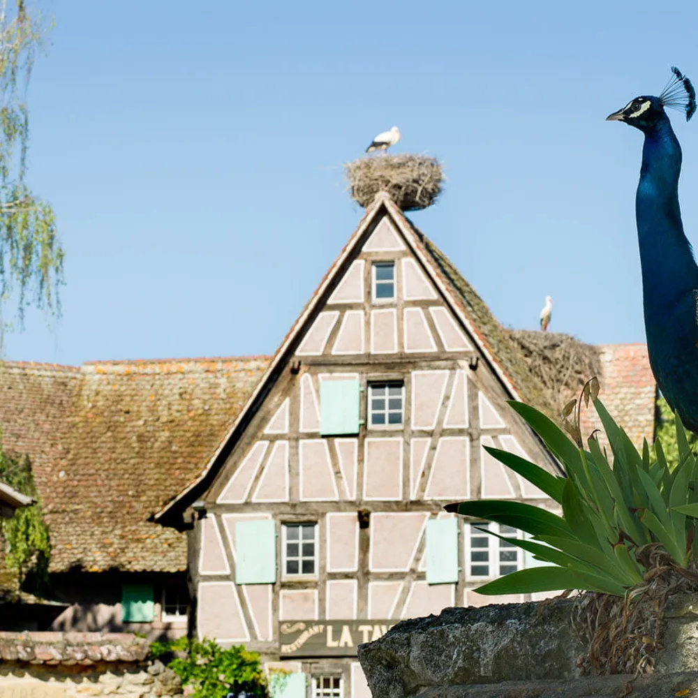 Écomusée d'Alsace