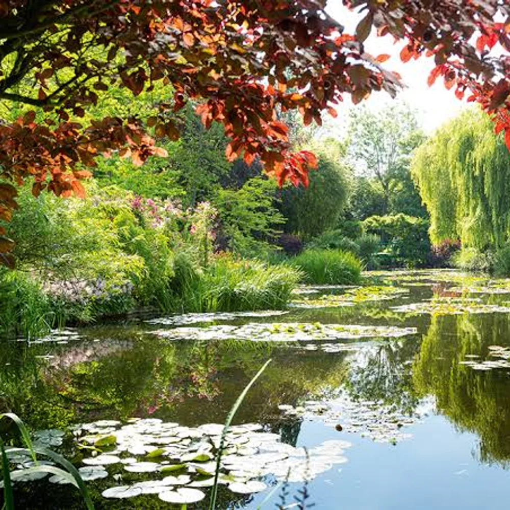Maison et jardins de Claude Monet - Giverny 3