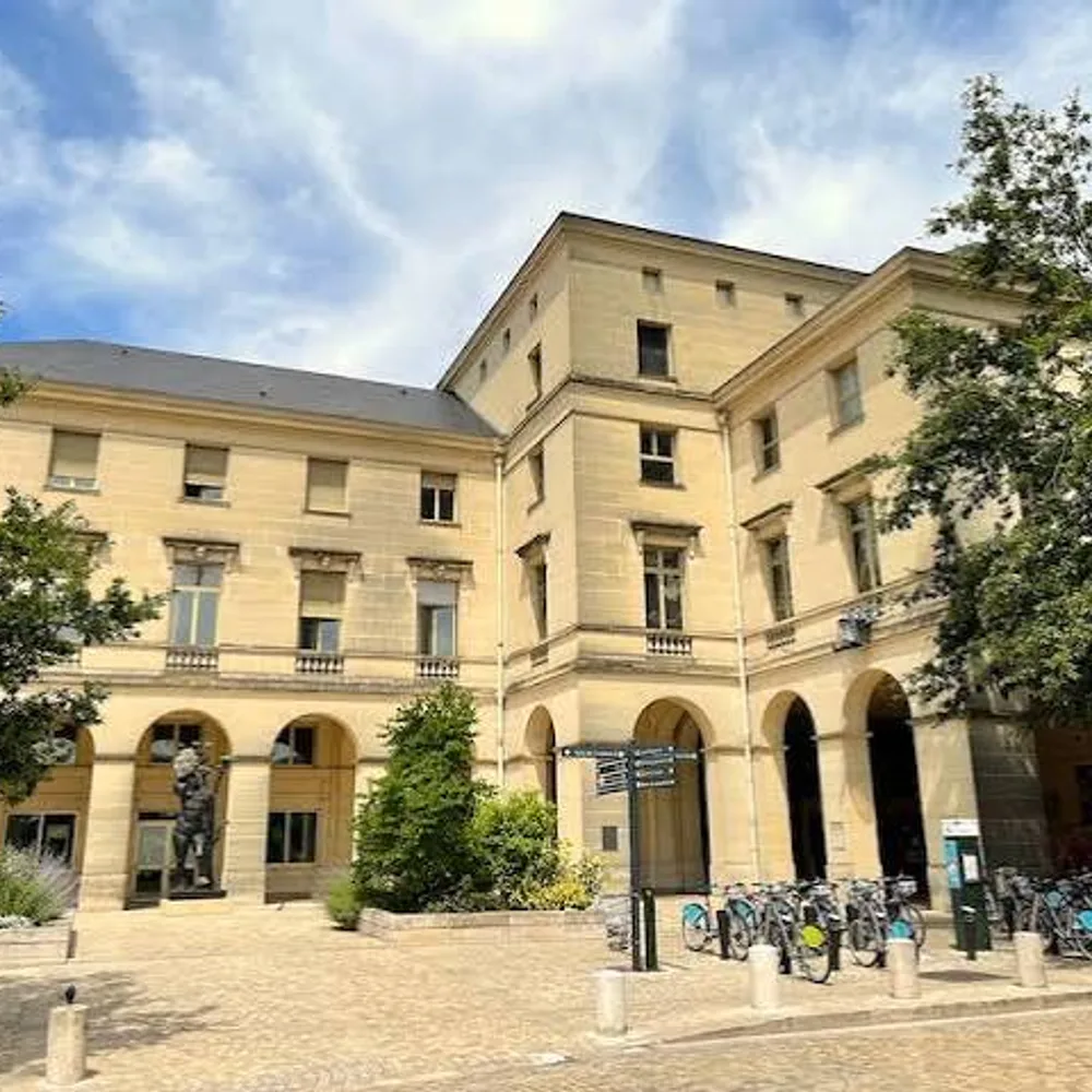 Musée des Beaux-Arts d'Orléans 2