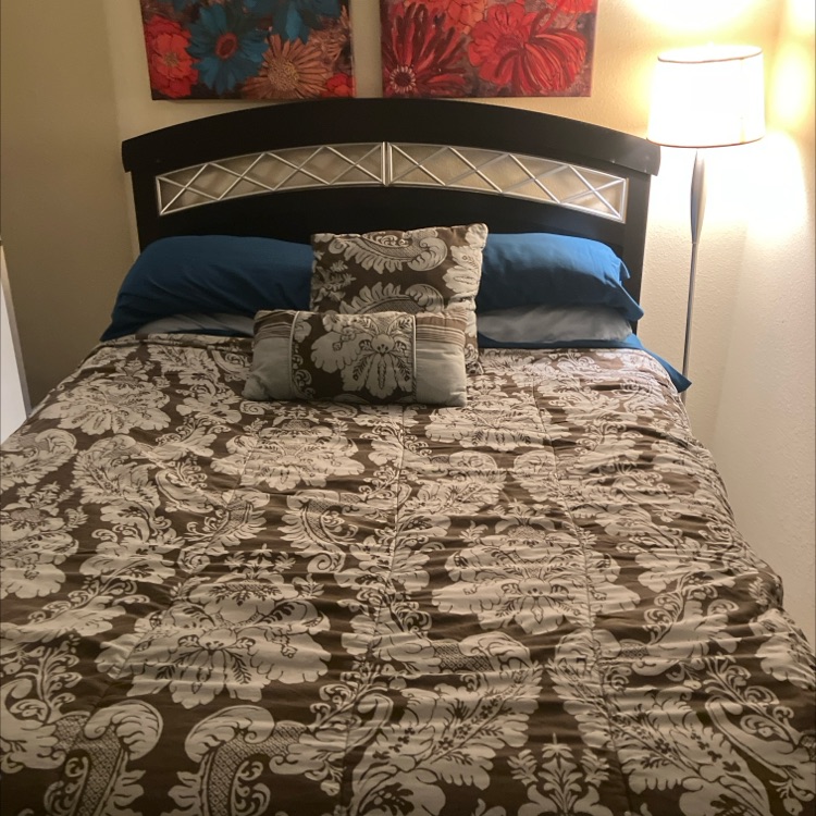 Furnished 3-bed home in Tampa