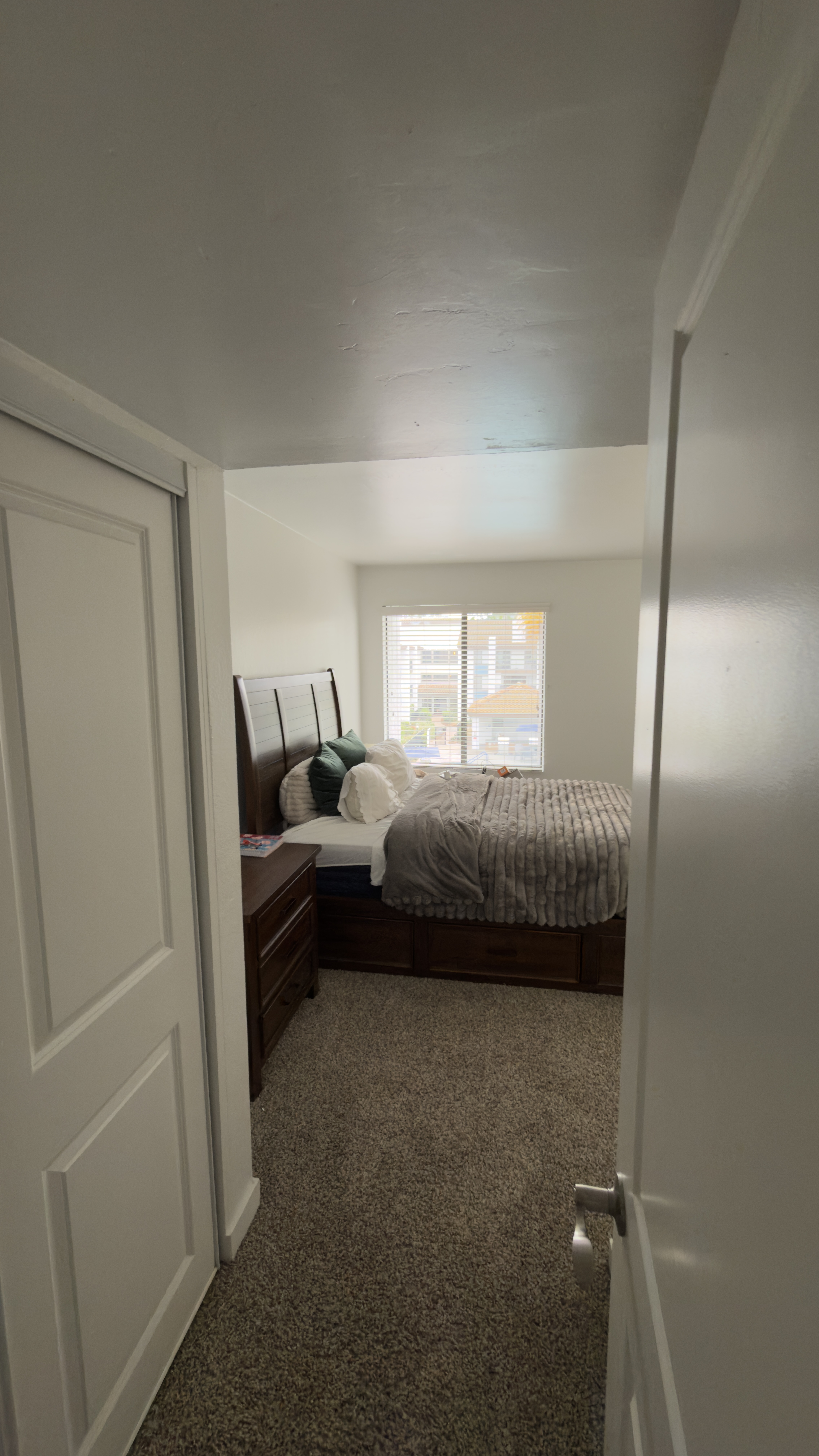 Cozy 1 bed apartment