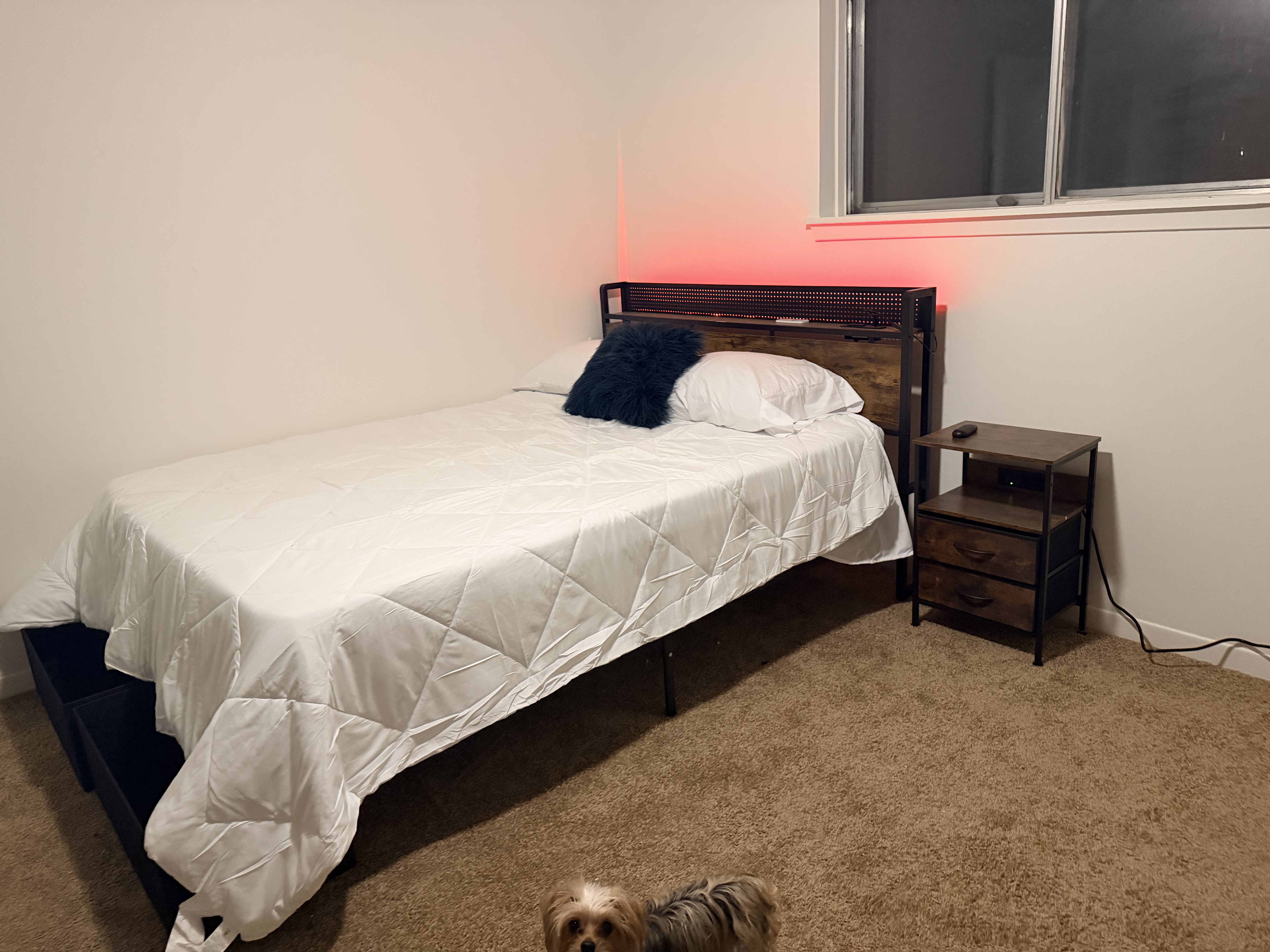 Medical Center Room for Rent
