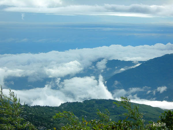A scenic view of the heritage railway line passing through Tindharia, Darjeeling