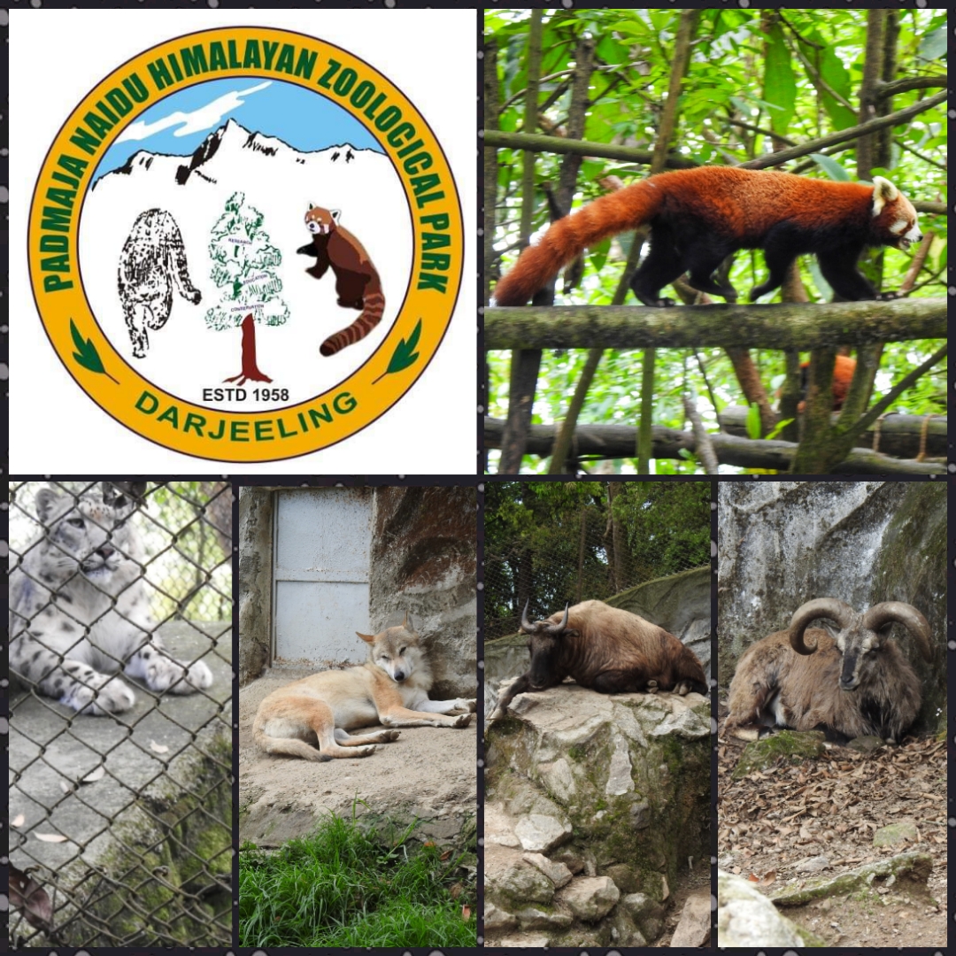 The entrance to the Himalayan Zoological Park in Darjeeling