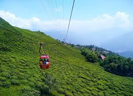 A close-up of a Darjeeling Ropeway cabin