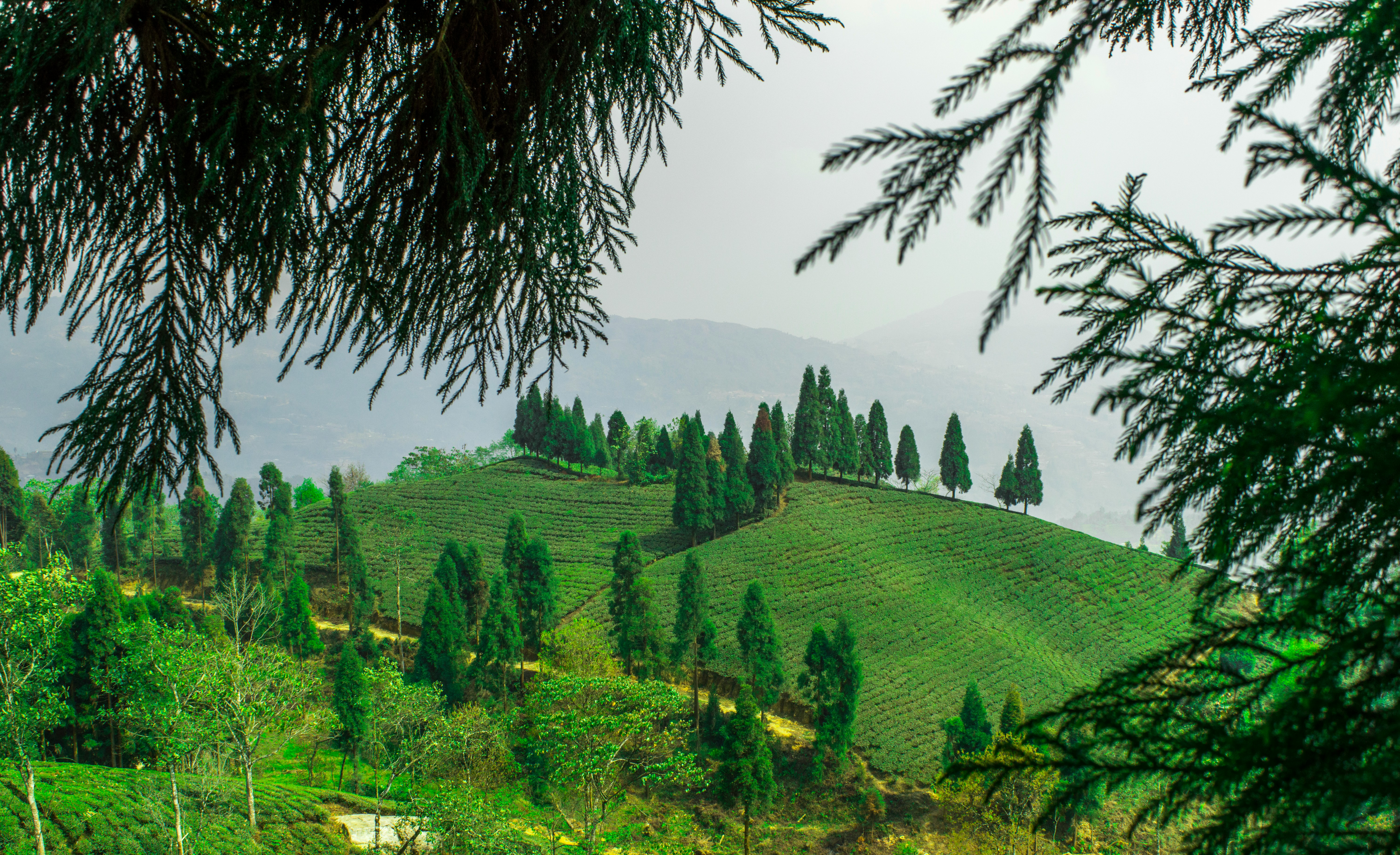 A scenic view of Mirik