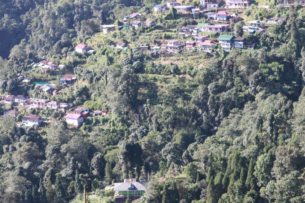 NIRMALA HOMESTAY - image 3
