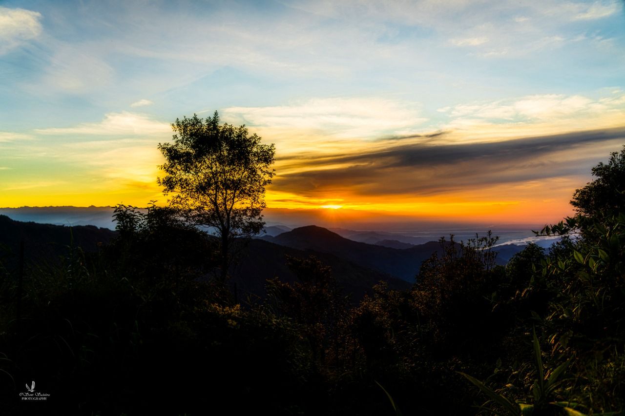 Guras Homestay - image 4