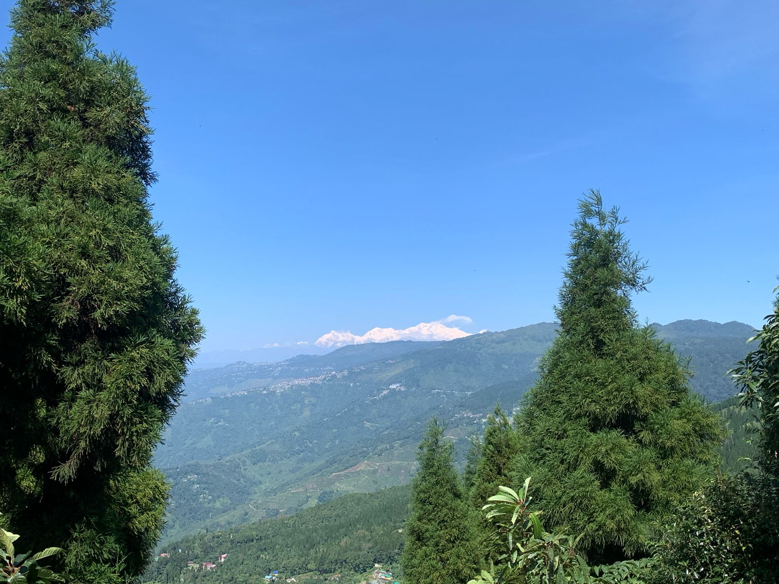 Guras Homestay - image 8