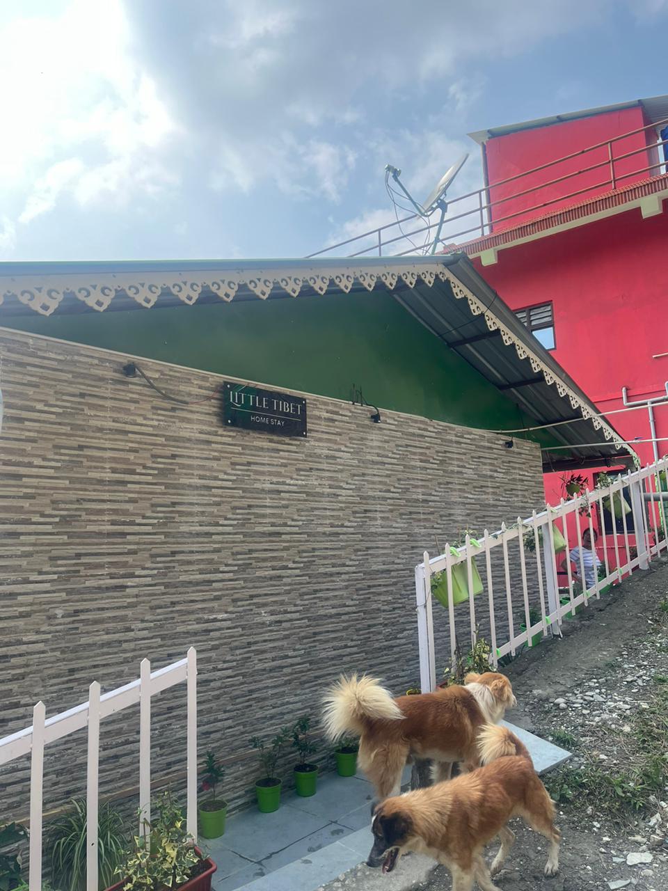 Little Tibet Homestay