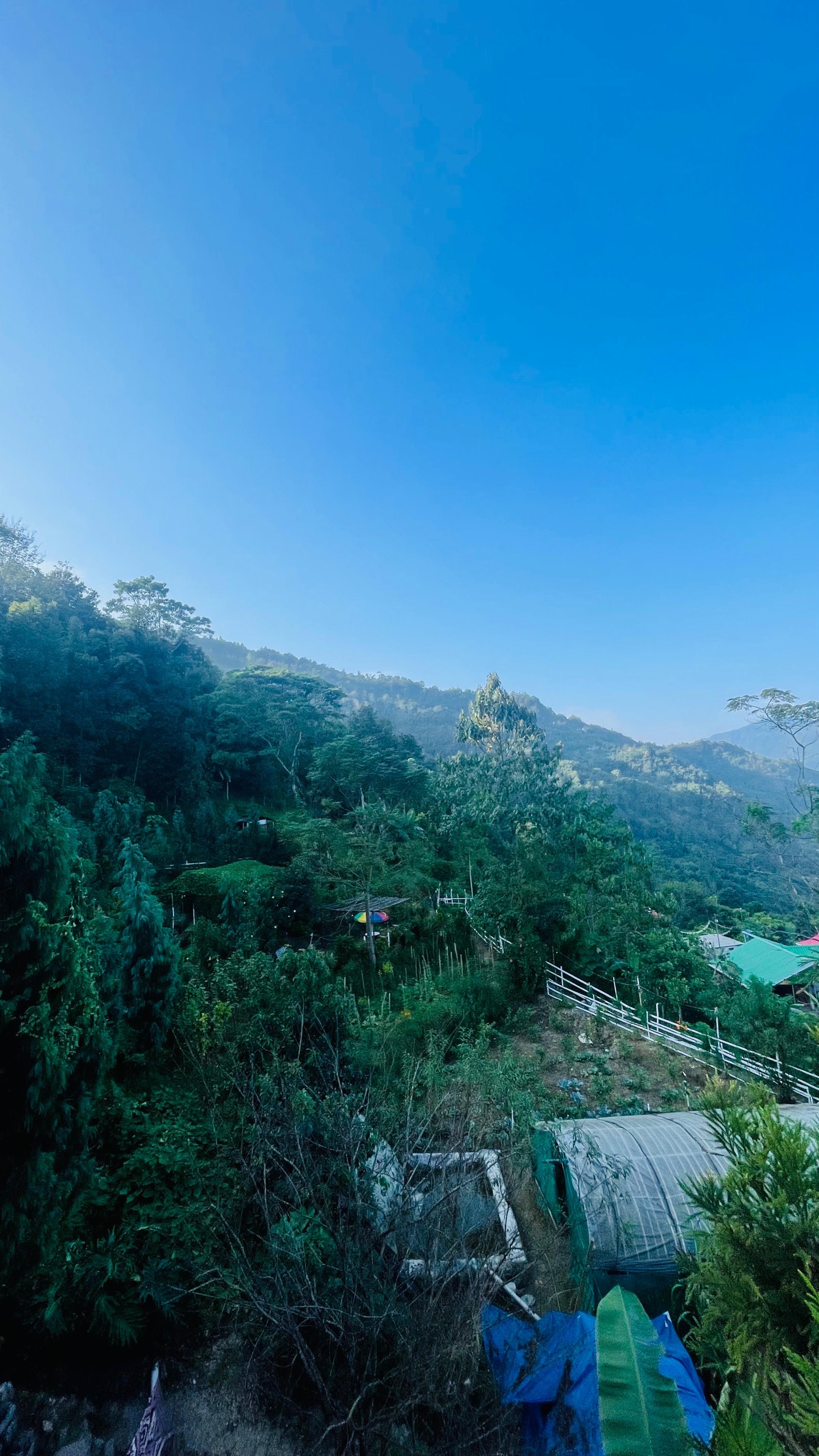 Blone Homestay in Tinchuley
