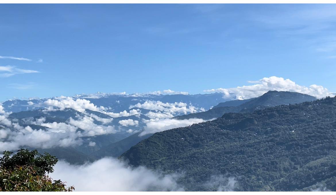 Blone Homestay - image 8