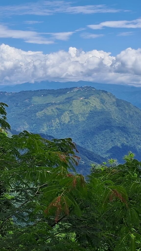 Kharkha Homestay - image 4