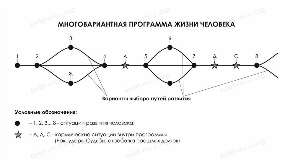 Многовариантность развития
