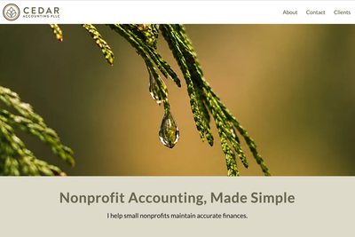 Cedar Accounting Website Screenshot