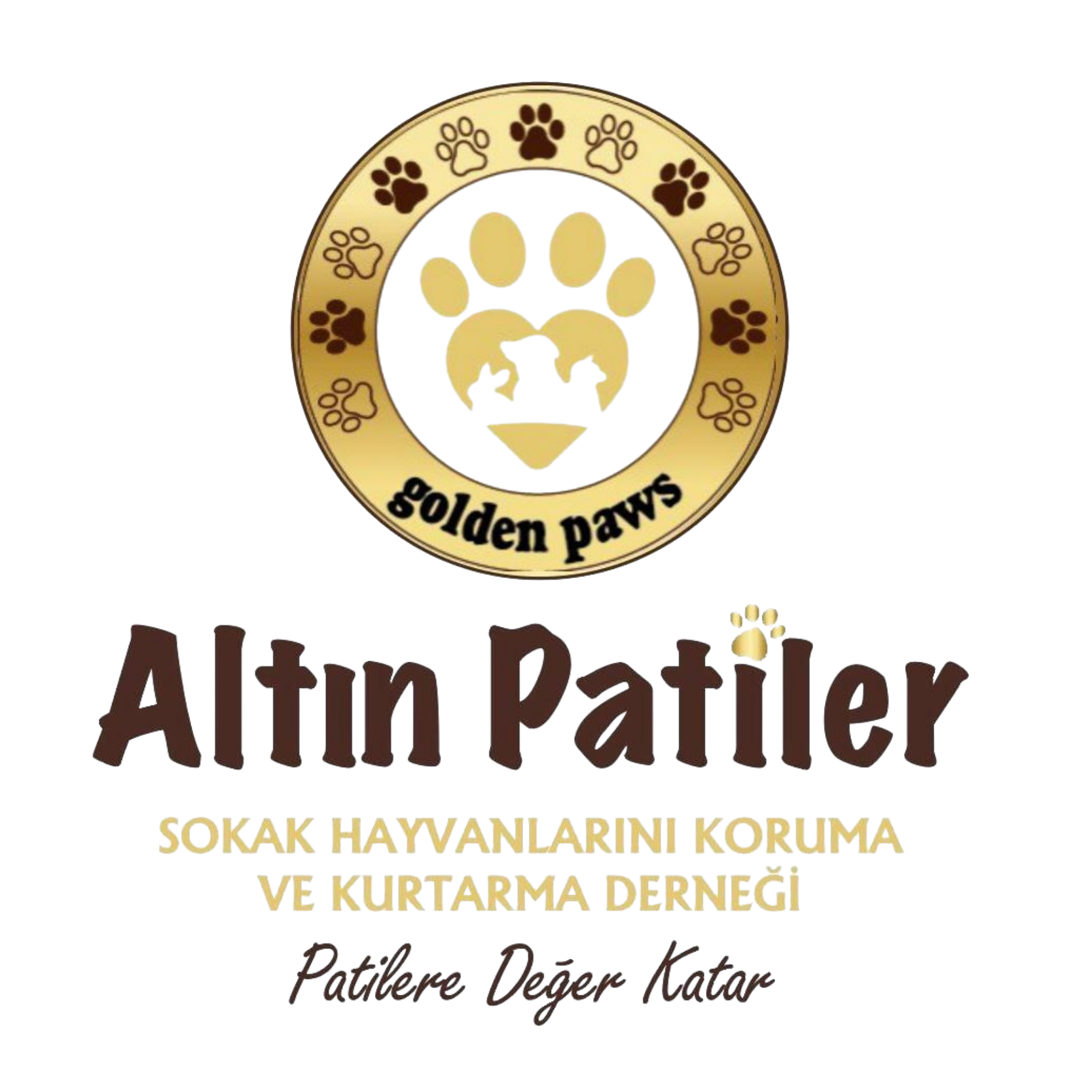 Golden Paws Illustration