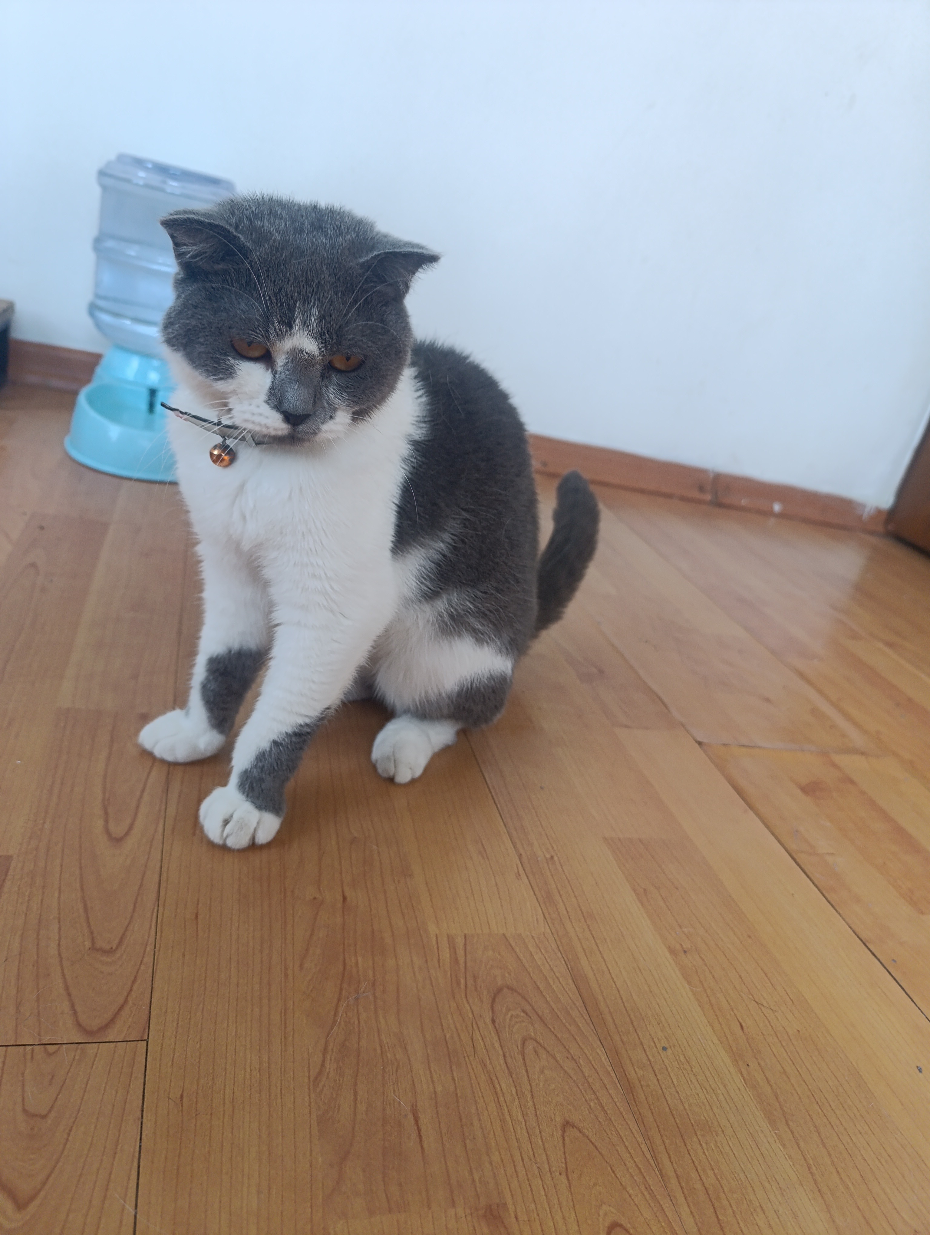 Luna