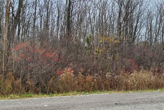 Vacant Land For Sale In Hamilton