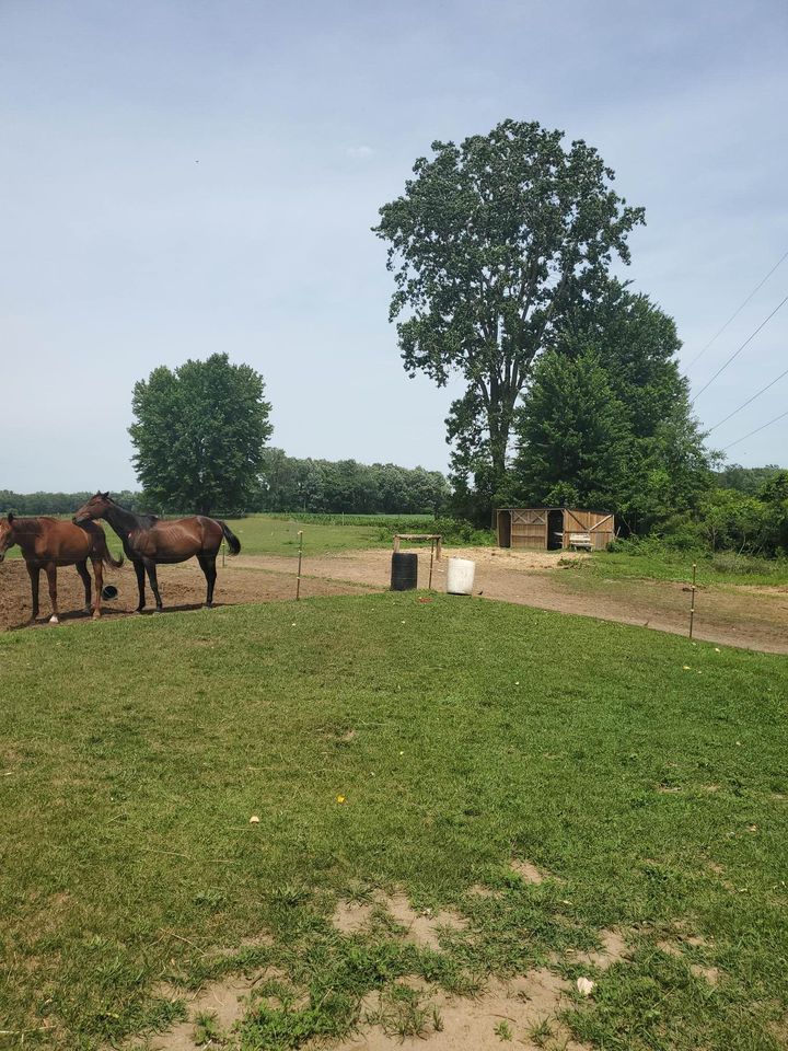 6.8 Acres Small Hobby Farm In Thamesville