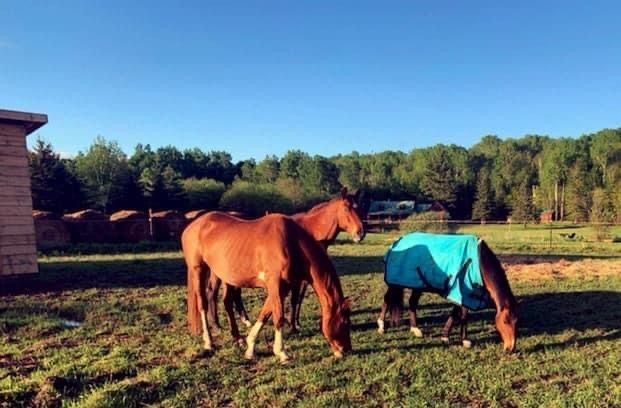 80 Acre Private Sale Ranch In Astorville