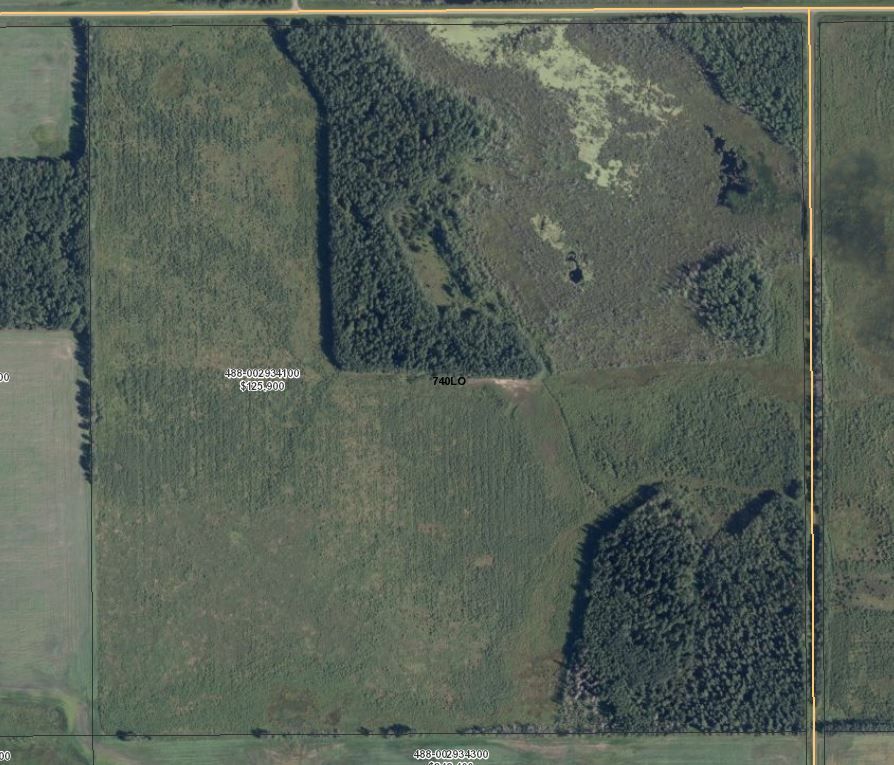 160 Acres - RM of Torch River #488, SK