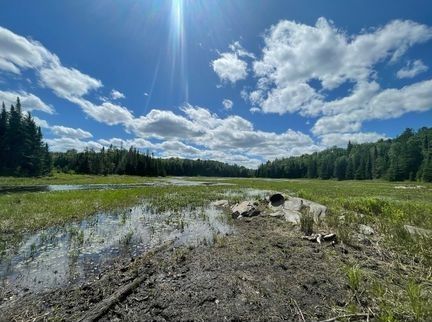 95 Acres Land, River Front With Access To Private Lake In Haliburton