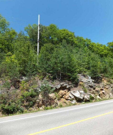 2.3 Beautiful Acres Haliburton Estate