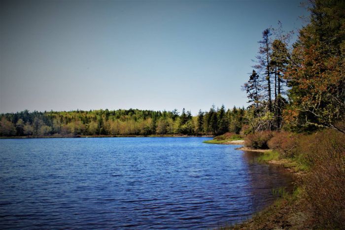 Lewie Lake Private Waterfront Lots