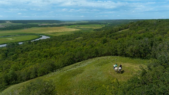 Selling Online Sept 12, 2022 - Over 1000 Acres - Virden, MB