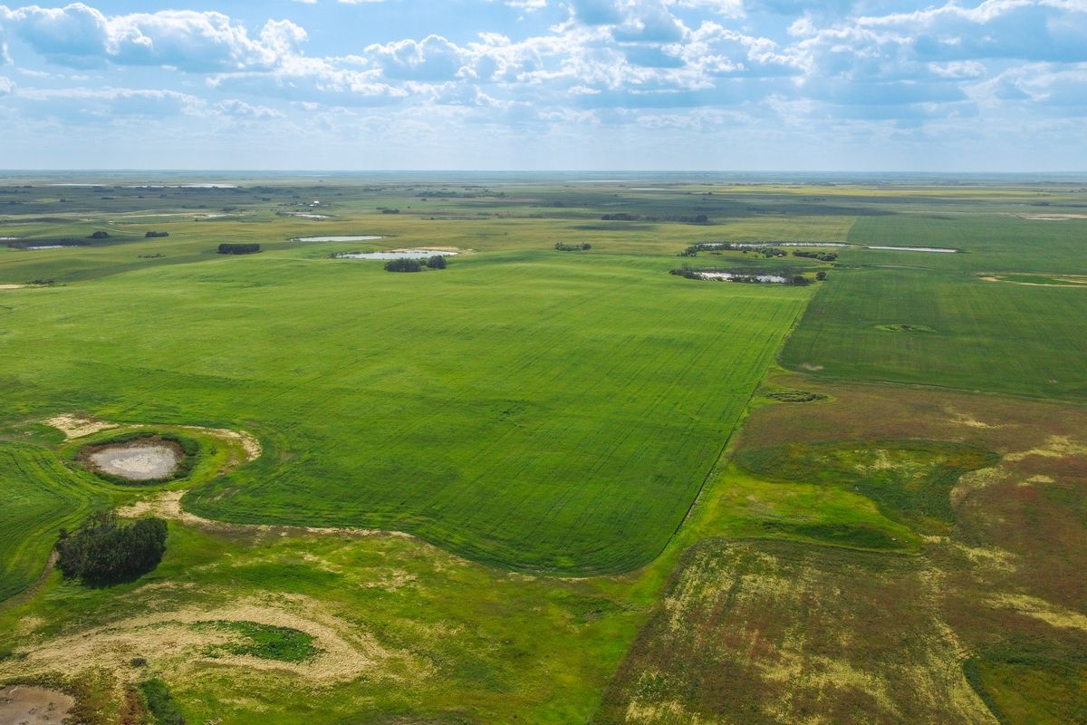 Selling Online Oct 11, 2022 - 3 Quarters - Kerrobert, SK