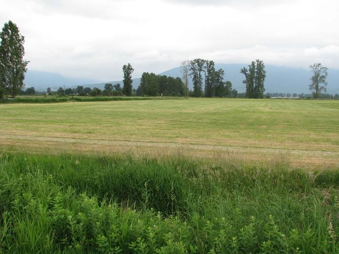 Pitt Meadows Undersurface Land Mining Property