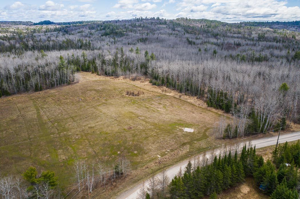 Newly Severed Parcel!