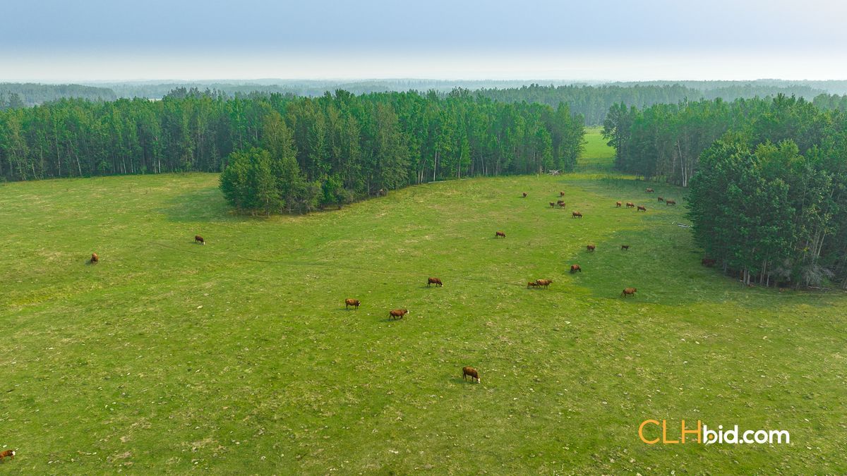 Selling Online Oct 11, 2023 - 1,500+ Acres - Valleyview, AB