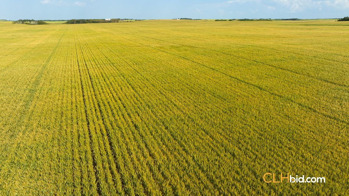 Selling Online Sept 28, 2023 - 2,290 Acres - Indian Head, SK
