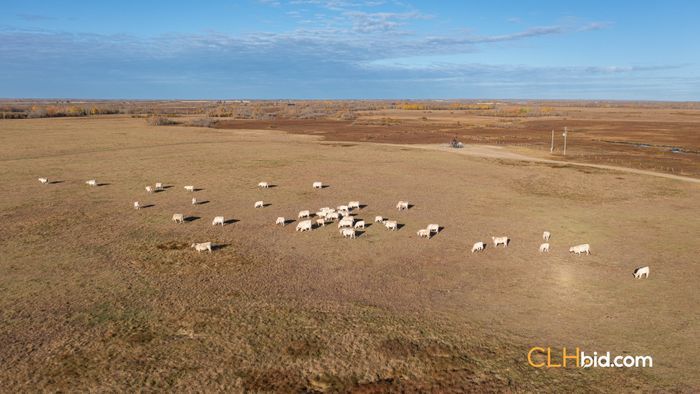 Selling Online Nov 21, 2023 - 160 Acres - Mundare, AB