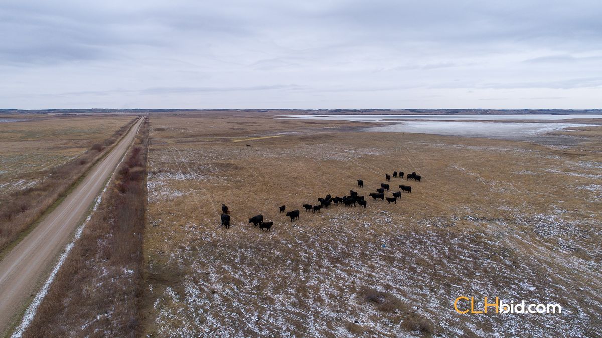 Selling Online Dec 6, 2023 - 215 Acres - Saskatoon, SK