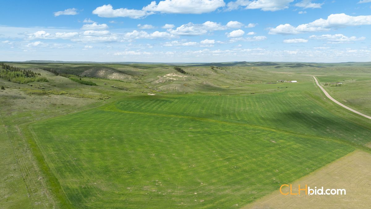 Selling Online Aug 13, 2024 - 156 Acres - Cypress Hills, AB