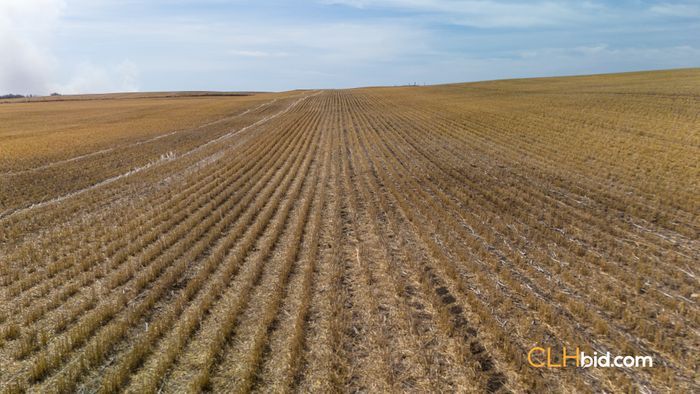 Selling Online July 11, 2024 - 317 Acres - Irma, AB