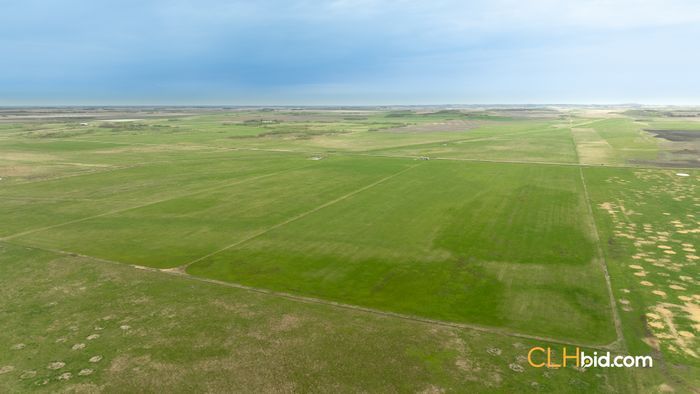 Selling Online June 26, 2024 - 160 Acres - Holland, MB