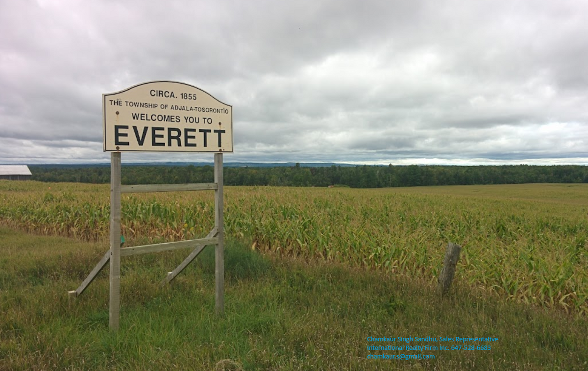 Development land for sale near Alliston