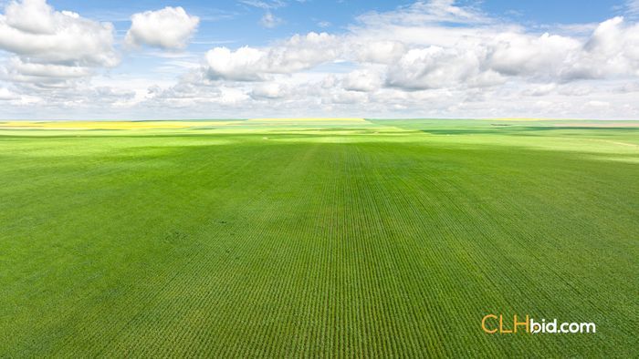 Selling Online Sept 24, 2024 - 158 Acres - Kincaid, SK