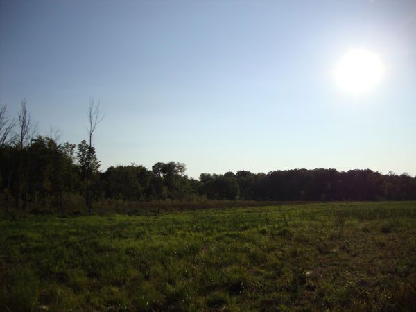 Wonderful Opportunity -106 Acres of Vacant Land In Severn
