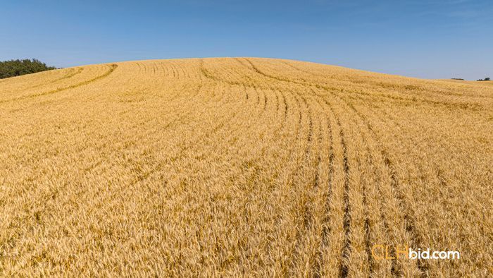 Selling Online Sept 18, 2024 - 313 Acres - Innisfree, AB